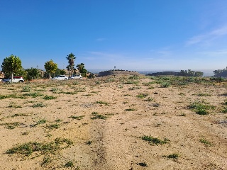 FINC DIVINA PASTORA. PARAJE MONTELIRIO POLR 1 PRC 6