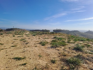 FINC DIVINA PASTORA. PARAJE MONTELIRIO POLR 1 PRC 7