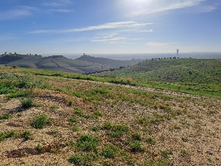 FINC DIVINA PASTORA. PARAJE MONTELIRIO POLR 1 PRC 9