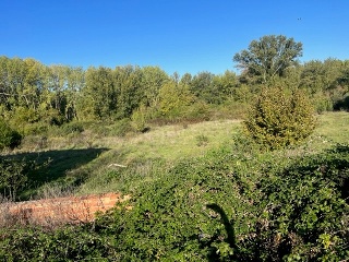 POLIGONO-021 5