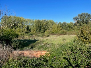 POLIGONO-021 7