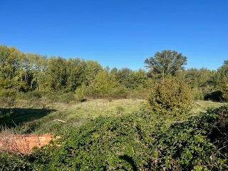 POLIGONO-021 8