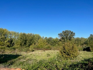 POLIGONO-021 9