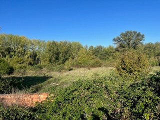 POLIGONO-021 10