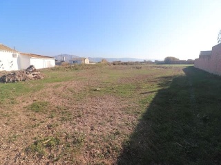 Otros en venta en Torres De Berrellén