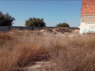 JUAN CARLOS I 6