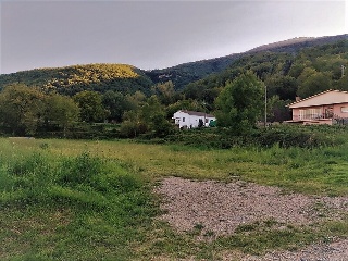 Pau 6