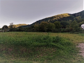 Pau 7