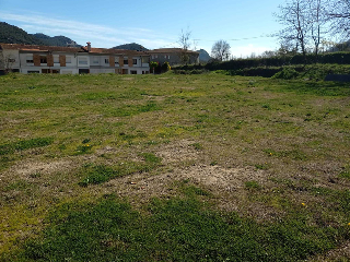Pau 8
