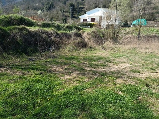 Pau 9