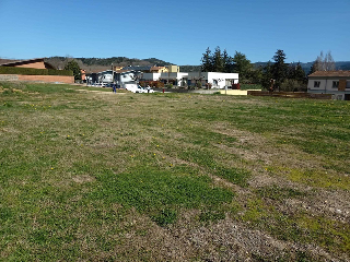 Pau 12