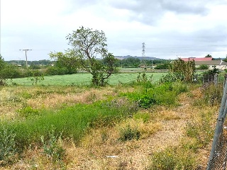 ALBERITE 24