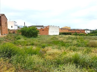 ALBERITE 26