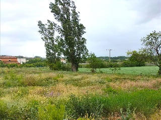 ALBERITE 27