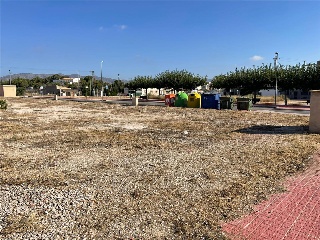 ALTEA 6