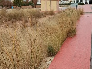 ALFAZ DEL PI 9