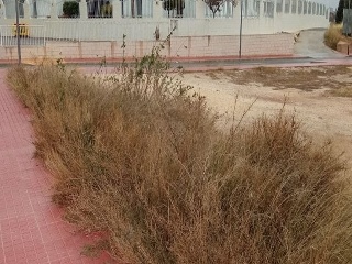 ALFAZ DEL PI 10