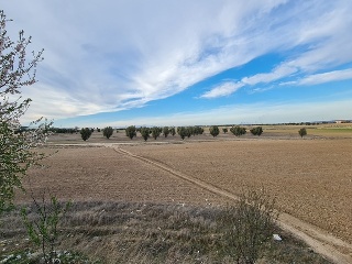 Pisos banco Ciempozuelos