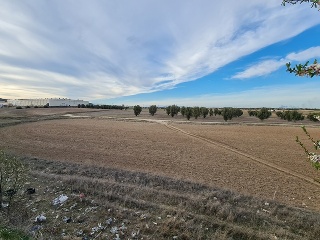 Sitio Los Pulgosos 2