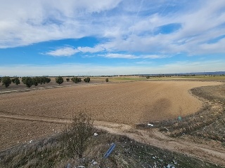 Sitio Los Pulgosos 5