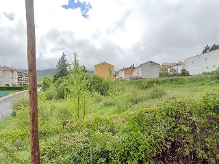 BONILLA 4