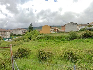 BONILLA 5
