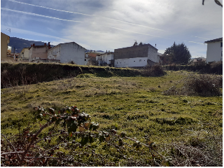 BONILLA 7