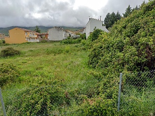 BONILLA 11