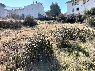 BONILLA 15