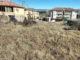 BONILLA 16