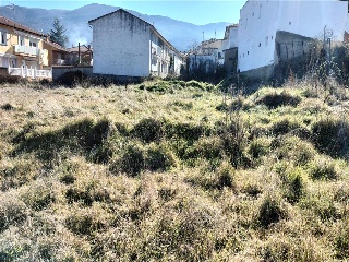 BONILLA 17
