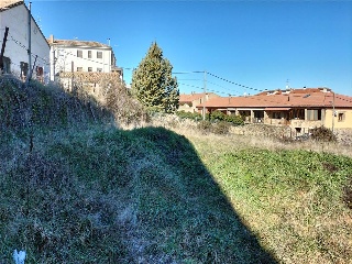 BONILLA 19