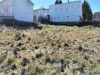 BONILLA 21