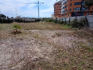CARBONAIRE 2