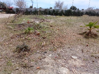 CARBONAIRE 3
