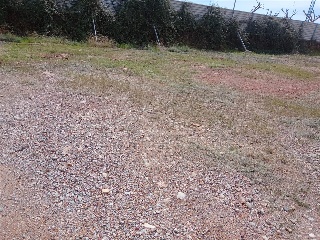 CARBONAIRE 7