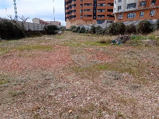 CARBONAIRE 8