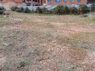 CARBONAIRE 9