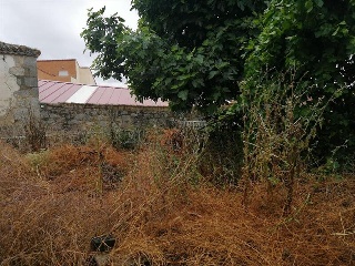 VISTA ALEGRE 5
