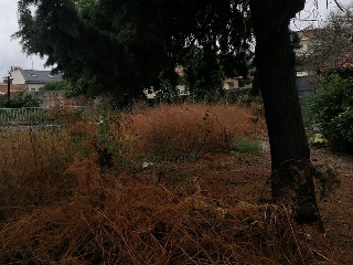 VISTA ALEGRE 9