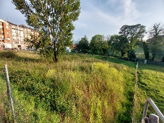 RIO ZALANDRON 4
