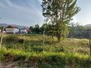RIO ZALANDRON 5