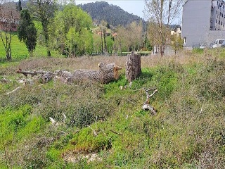 RIO ZALANDRON 6