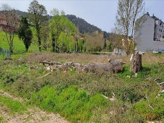 RIO ZALANDRON 7