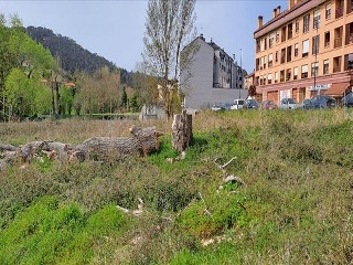 RIO ZALANDRON 8