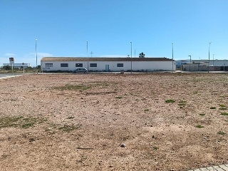 PERE EL CERIMONIOS 2