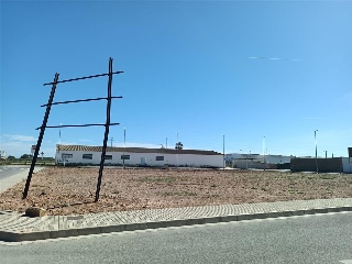 PERE EL CERIMONIOS 4
