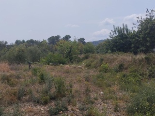 Tossalet, Poligono 47, Parcela, Nº 103 2