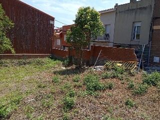JAEN 3