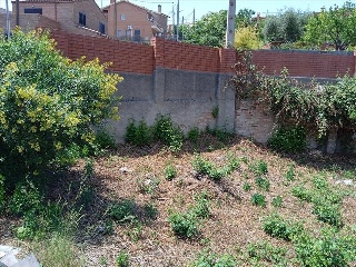 JAEN 5